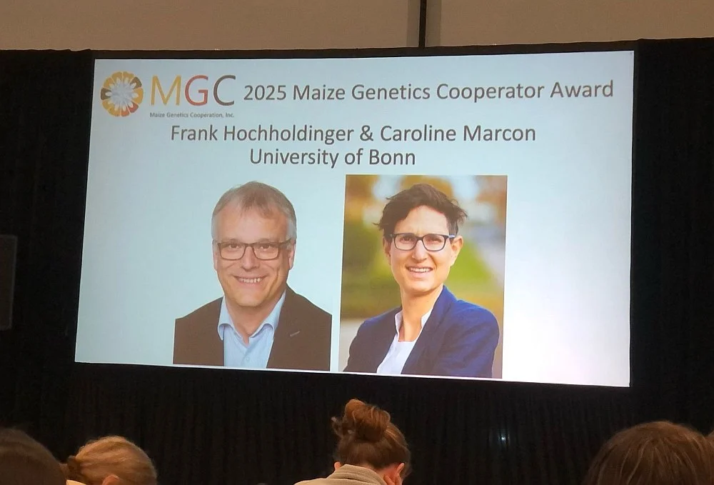 Caroline Macron und Frank Hochholdinger erhalten den Cooperator Award auf der 67. "Maize genetics conference" in St. Louis