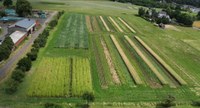 Streifenanbau - ein mögliches Anbausystem für zukunftsfähige Landbewirtschaftung?