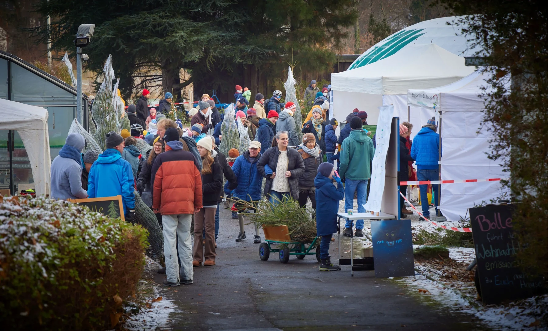 Weihnachtsbaumverkauf vergangener Jahre