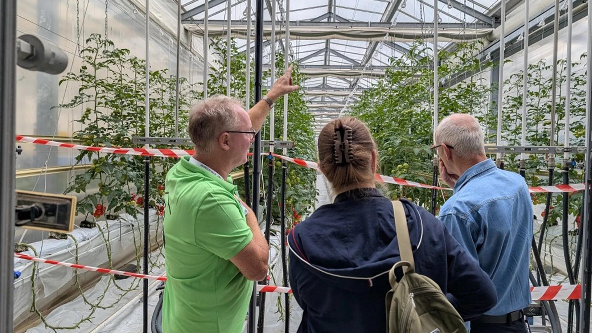 In den Gewächshäusern erhielten die Gäste Infos zu innovativen Anbauverfahren
