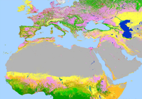 20250513_African-European-Workshop.png