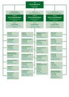 20240827_LF_Organigramm_Web.pdf