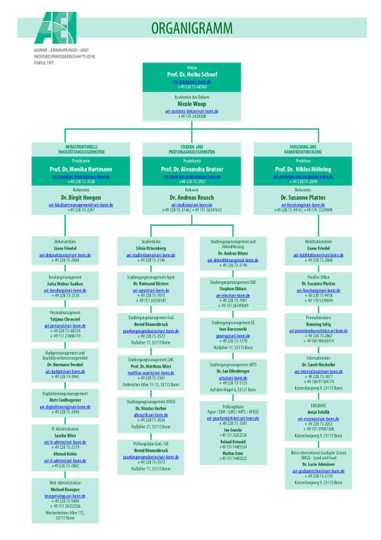 20260218_AEI_Organigramm_Web.pdf