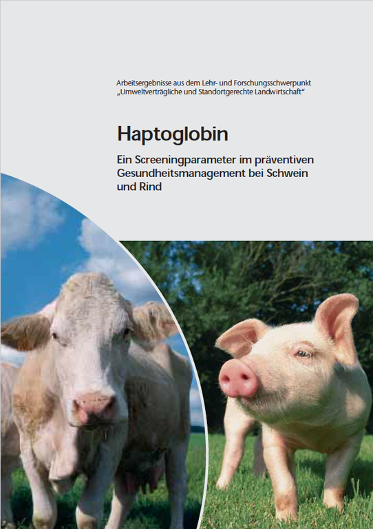 Beratungsinfo_Haptoglobin_Titel.png Beratungsinfo_Haptoglobin_Titel.png