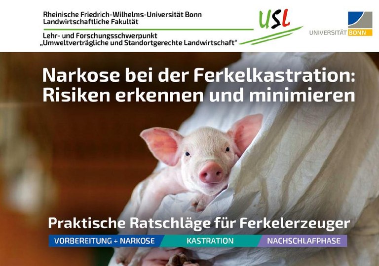 Ferkelkastration.pdf