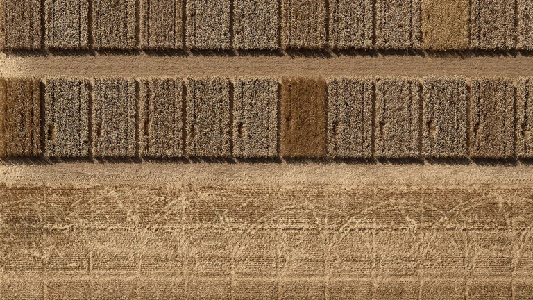 uni_vl_versuchsparzellen_240719_08_1920x1080.png uni_vl_versuchsparzellen_240719_08_1920x1080.png