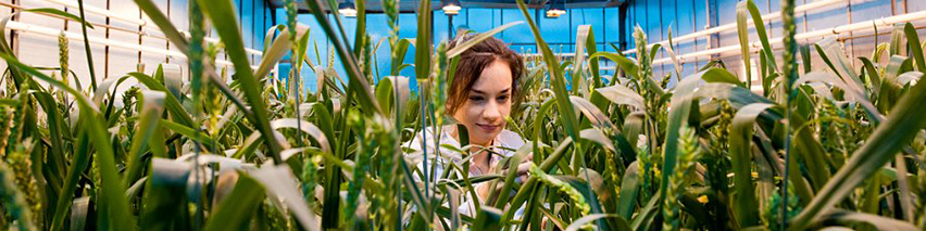 uni_vl_gewaechshaus_DSC7007_852x213.png