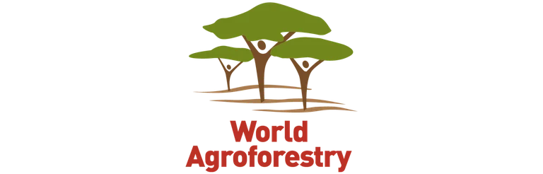 02_Logo_Agroforestry_1400x450.png