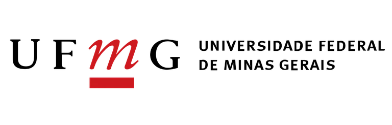 FS05_Logo_Trans_UFMG.png