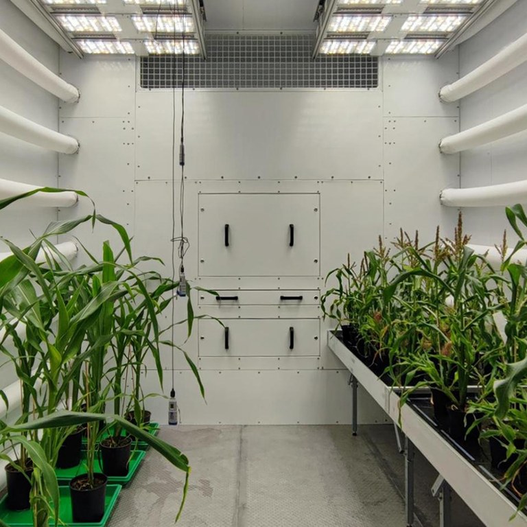 _Klimakammer_Phytotron7-8_1080x1080.jpg