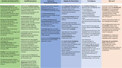 Schaubild Promotionsablauf