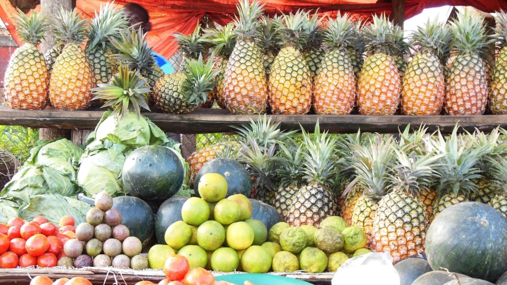 FoodDiverse_1920x1080.webp