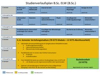 Studienverlaufsplan B.Sc. ELW