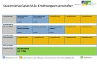 Studienverlaufsplan M.Sc. EW SoSe