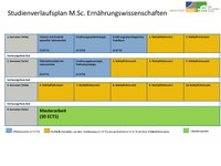 Studienverlaufsplan M.Sc. EW WS