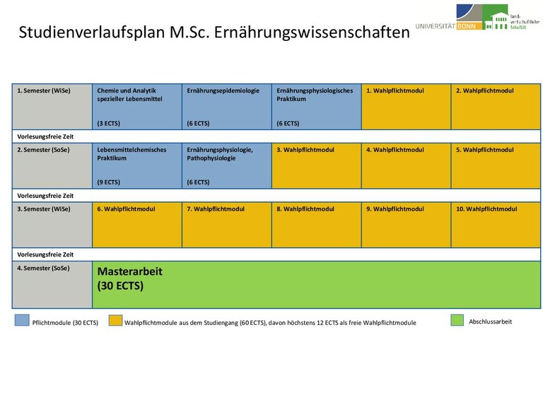 Studienverlaufsplan M.Sc. EW WS