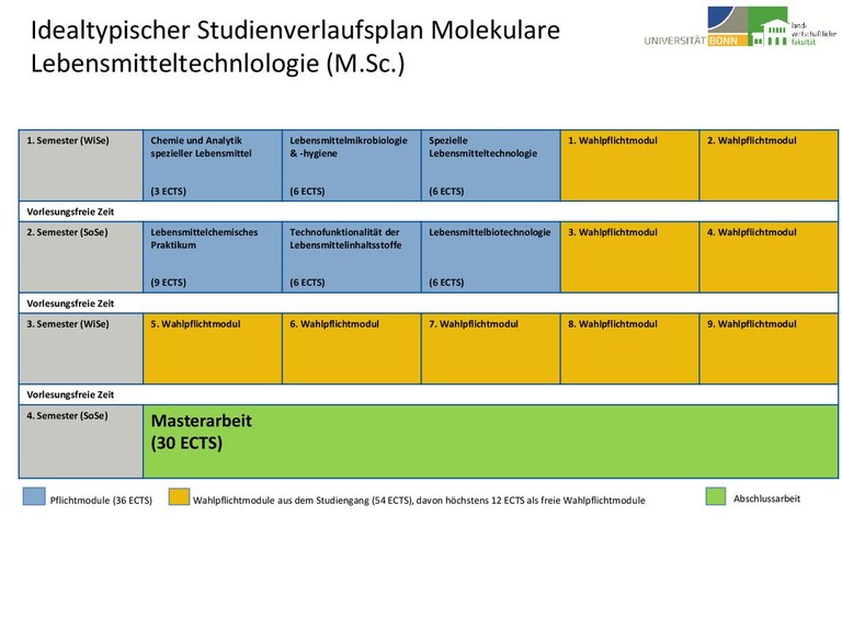 Studienverlaufsplan M.Sc. MLMT WS