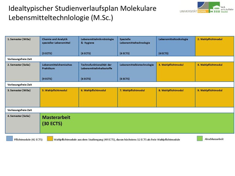 Studienverlaufsplan M.Sc. MLMT WS