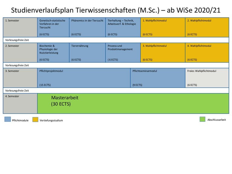 Studienverlaufsplan M.Sc. TW