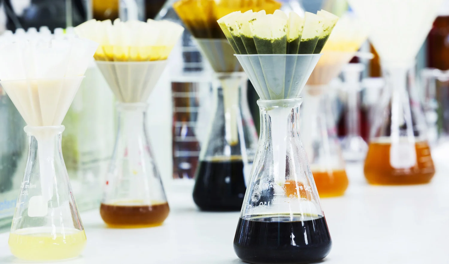 State Examination Food Chemistry