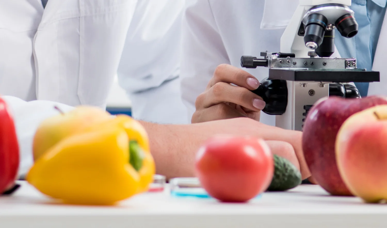 B.Sc. Nutrition and Food Sciences