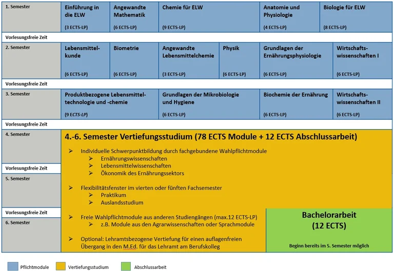 Studienverlaufsplan B.Sc. ELW