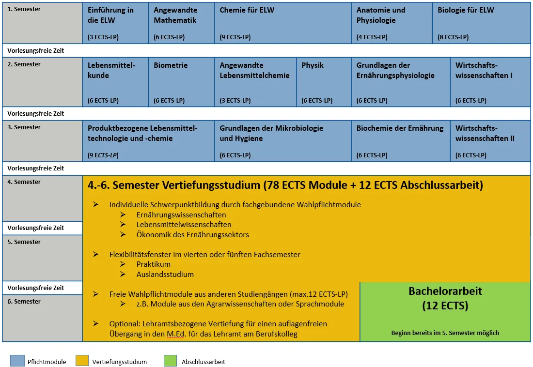 Studienverlaufsplan B.Sc. ELW