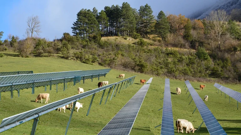 The researchers showed the respondents images of land used for agriculture and identical landscape scenes in which they had installed solar panels for comparison (image). Compared to a conventional solar park, agrivoltaics met with greater acceptance.