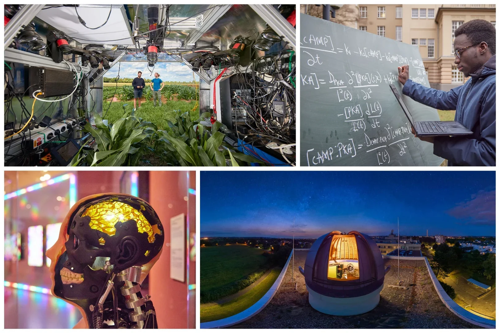 One site of the Lamarr Institute for Machine Learning and Artificial Intelligence is located at the University of Bonn.