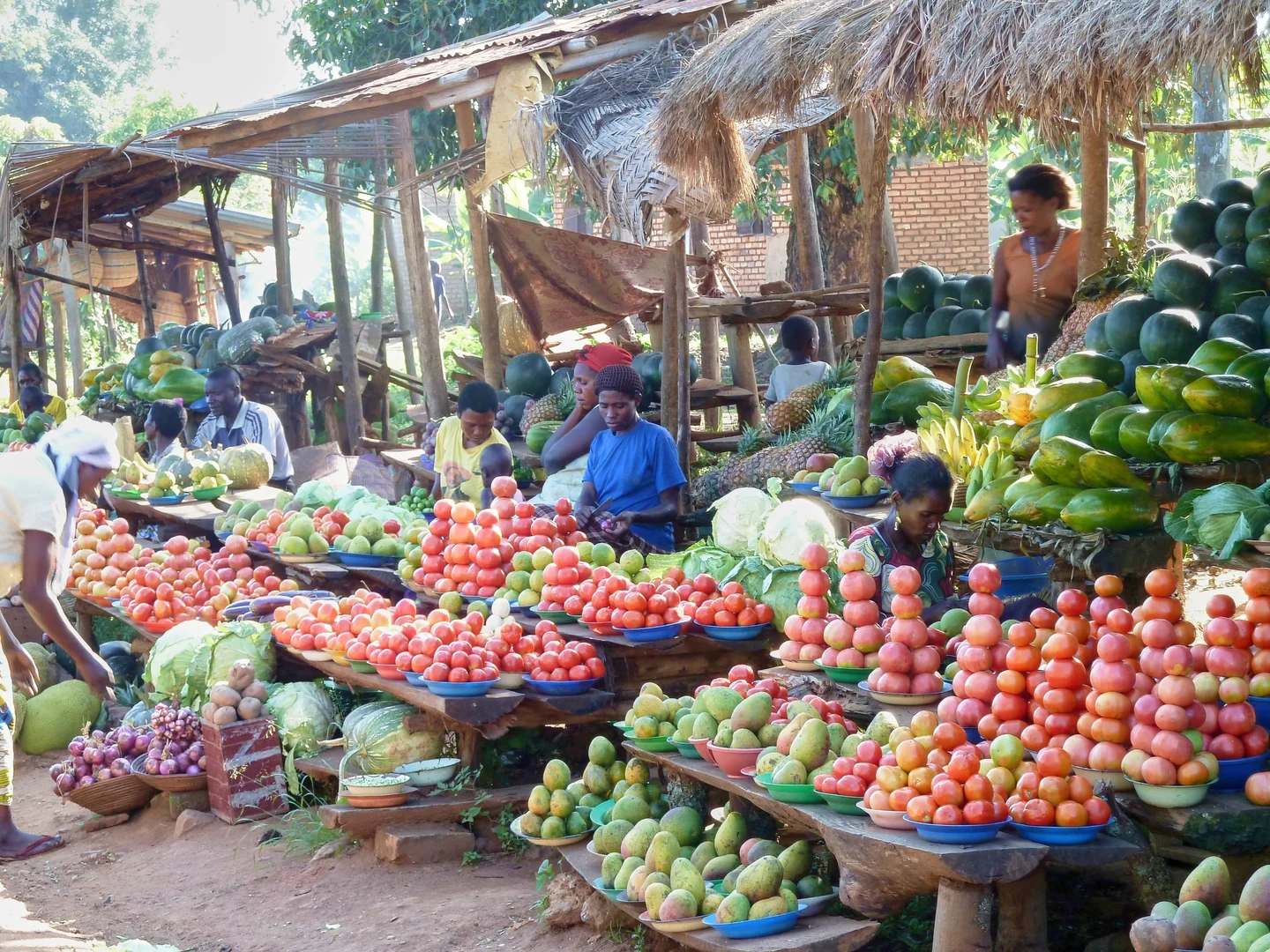 In sub-Saharan Africa, many people - do not have adequate access to high-quality food. Changing this while also minimizing negative impacts on the environment is a challenge.