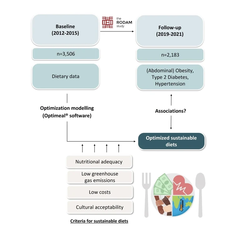 Using the study’s baseline data, sustainable diets were calculated with optimization software and compared with the data from the survey